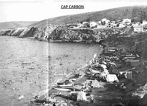 Cap carbon 01